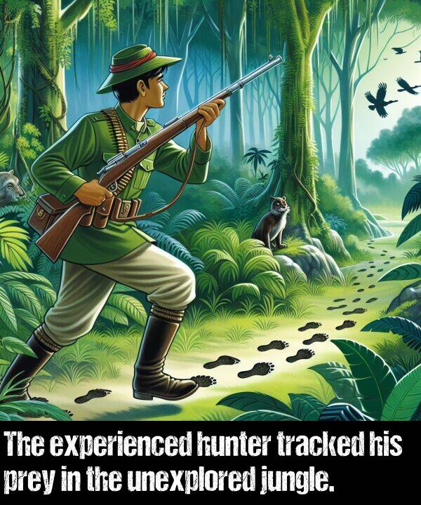 unexplored: The experienced hunter tracked his prey in the unexplored jungle.