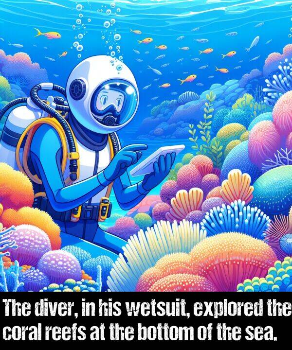 reefs: The diver, in his wetsuit, explored the coral reefs at the bottom of the sea.