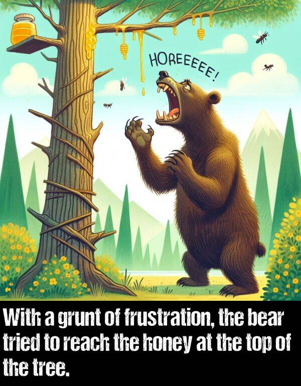 bear: With a grunt of frustration, the bear tried to reach the honey at the top of the tree.