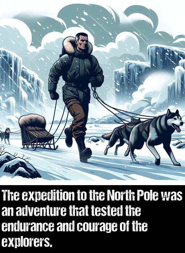 tested: The expedition to the North Pole was an adventure that tested the endurance and courage of the explorers.