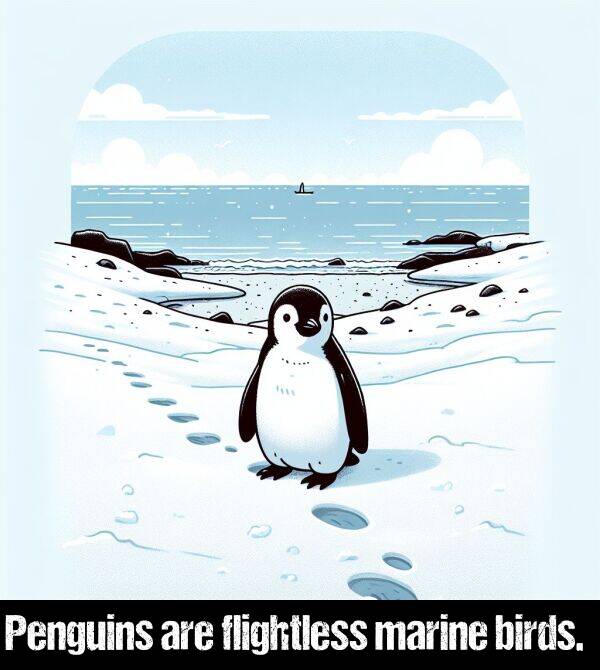 are: Penguins are flightless marine birds.