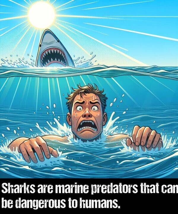 marine: Sharks are marine predators that can be dangerous to humans.