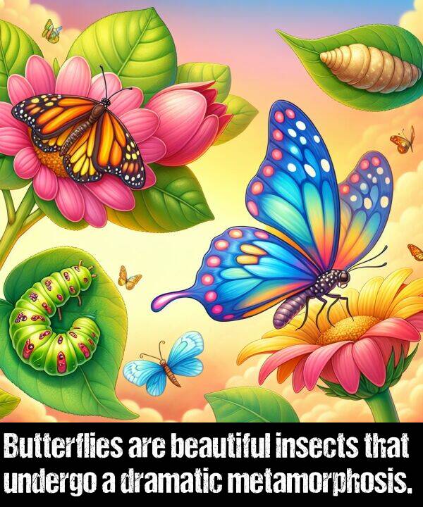 undergo: Butterflies are beautiful insects that undergo a dramatic metamorphosis.