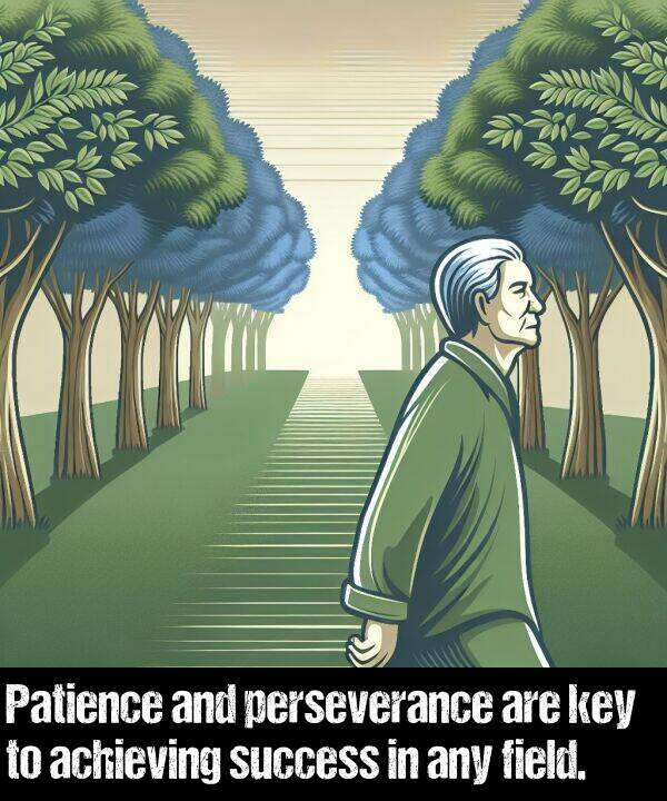achieving: Patience and perseverance are key to achieving success in any field.