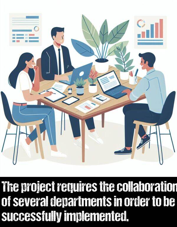 implemented: The project requires the collaboration of several departments in order to be successfully implemented.