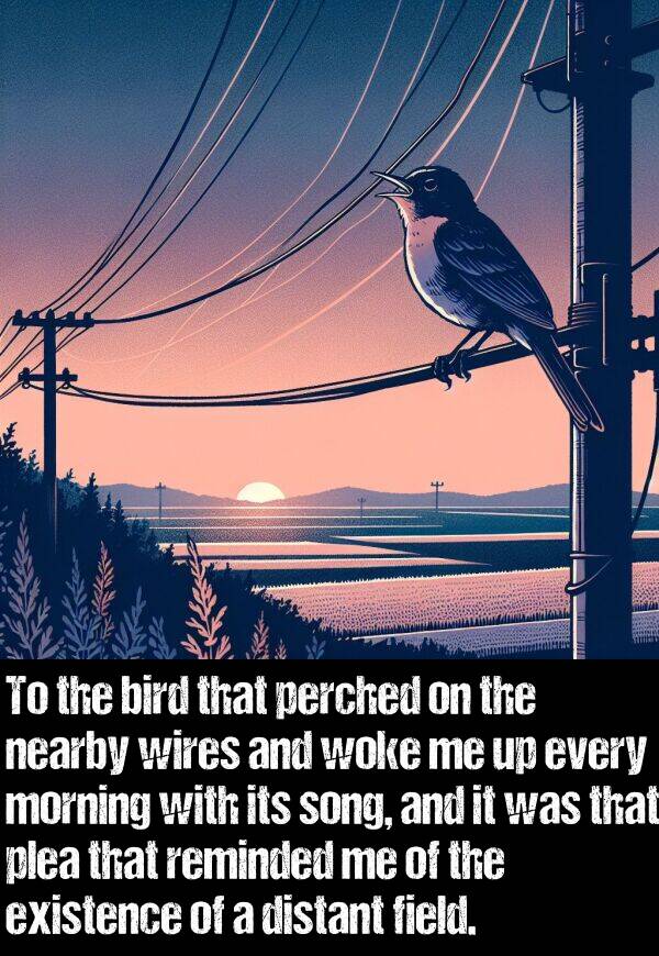 bird: To the bird that perched on the nearby wires and woke me up every morning with its song, and it was that plea that reminded me of the existence of a distant field.