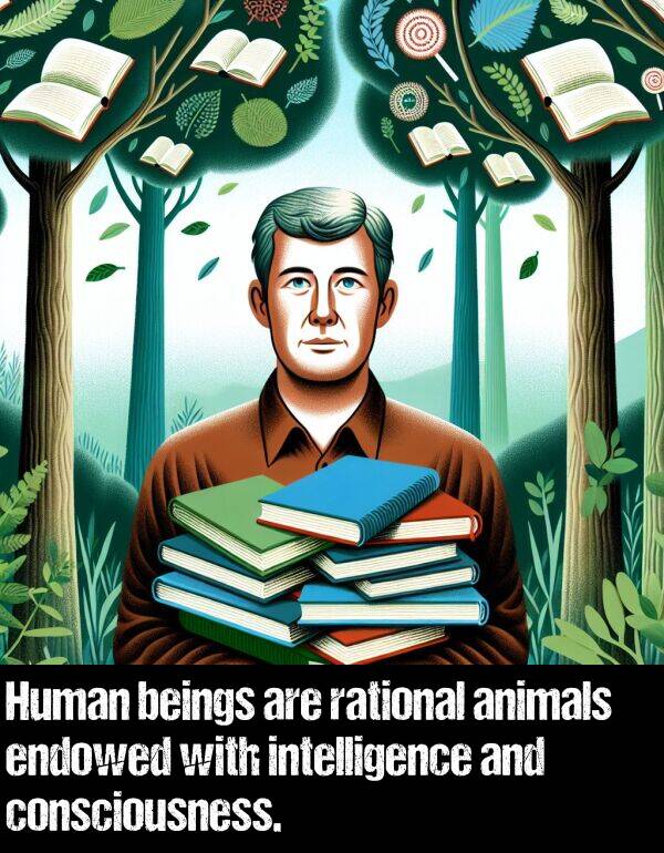beings: Human beings are rational animals endowed with intelligence and consciousness.