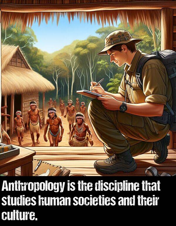culture: Anthropology is the discipline that studies human societies and their culture.