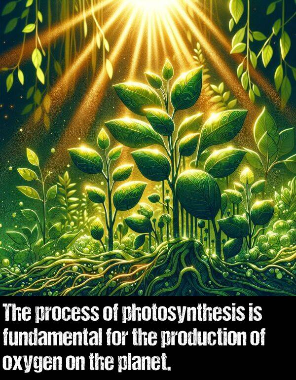 process: The process of photosynthesis is fundamental for the production of oxygen on the planet.