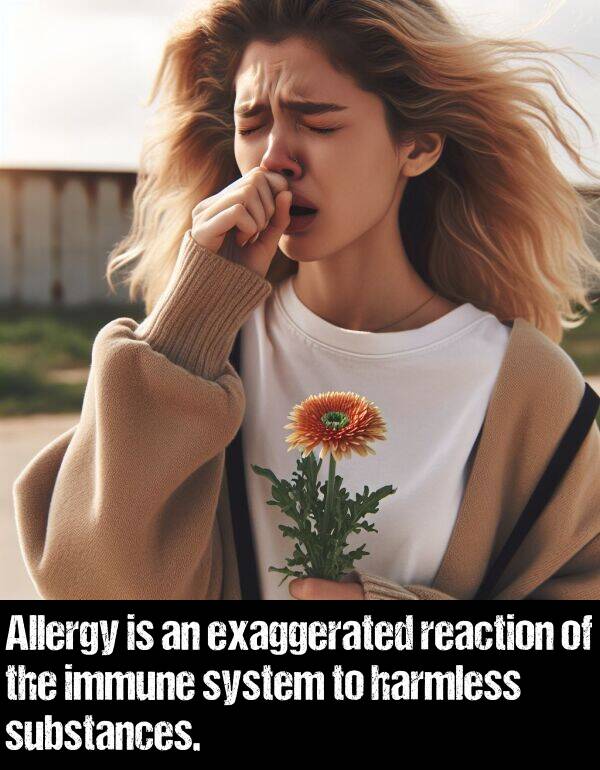 exaggerated: Allergy is an exaggerated reaction of the immune system to harmless substances.