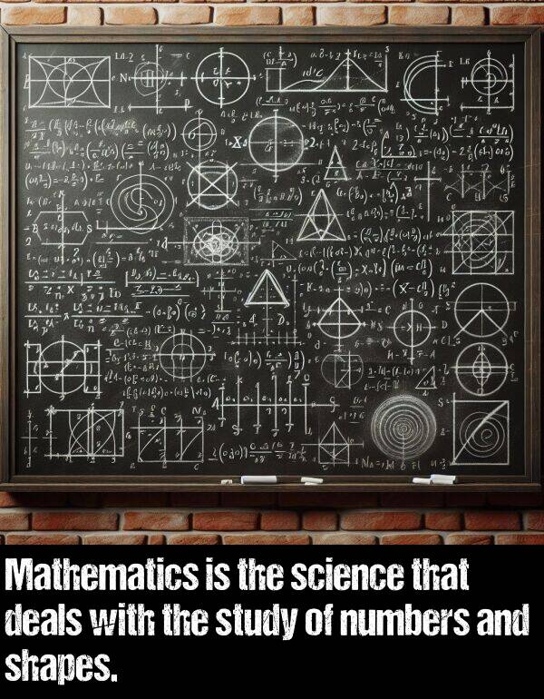 science: Mathematics is the science that deals with the study of numbers and shapes.