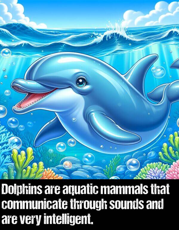 sounds: Dolphins are aquatic mammals that communicate through sounds and are very intelligent.