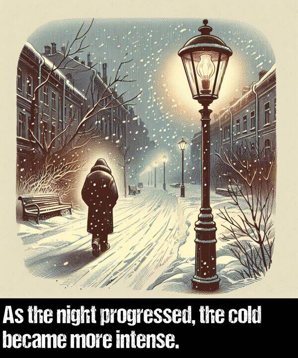 night: As the night progressed, the cold became more intense.