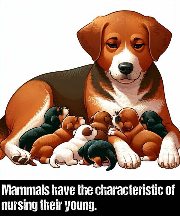 their: Mammals have the characteristic of nursing their young.