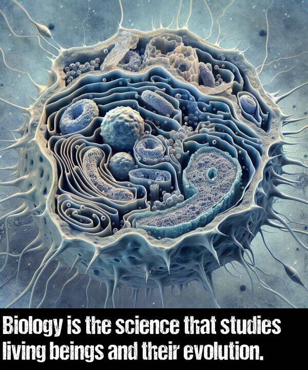 living: Biology is the science that studies living beings and their evolution.