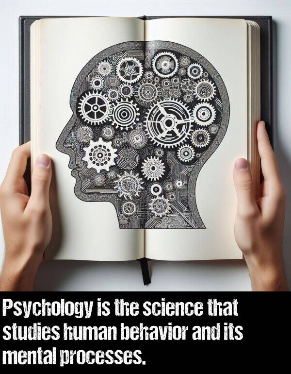 behavior: Psychology is the science that studies human behavior and its mental processes.