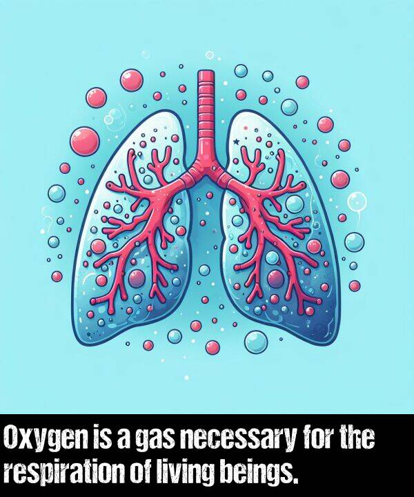 respiration: Oxygen is a gas necessary for the respiration of living beings.