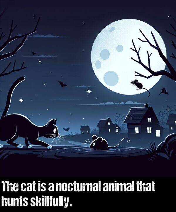 cat: The cat is a nocturnal animal that hunts skillfully.