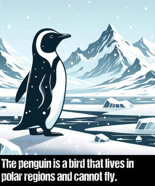 lives: The penguin is a bird that lives in polar regions and cannot fly.