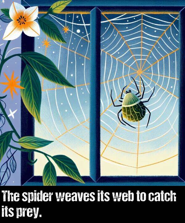 web: The spider weaves its web to catch its prey.
