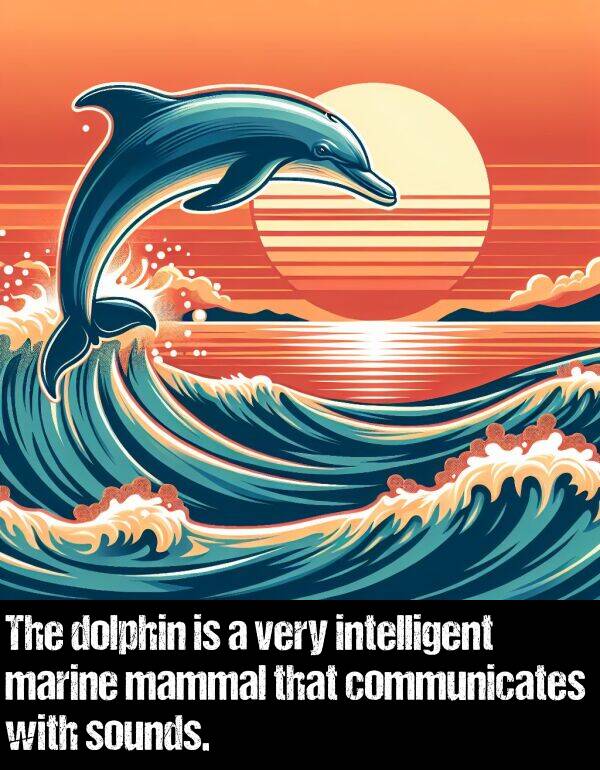 sounds: The dolphin is a very intelligent marine mammal that communicates with sounds.