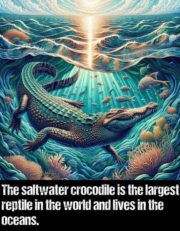 largest: The saltwater crocodile is the largest reptile in the world and lives in the oceans.