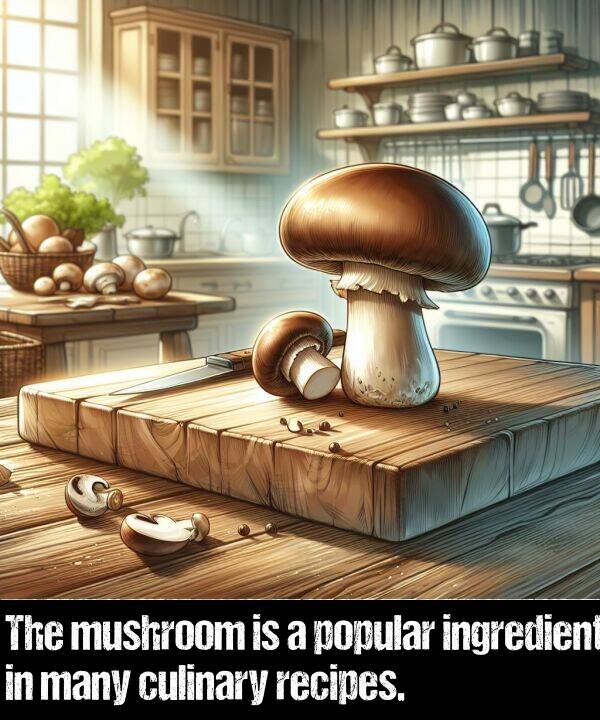 many: The mushroom is a popular ingredient in many culinary recipes.