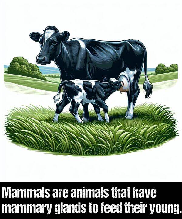 their: Mammals are animals that have mammary glands to feed their young.