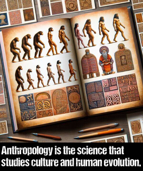 science: Anthropology is the science that studies culture and human evolution.