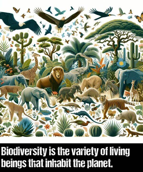 living: Biodiversity is the variety of living beings that inhabit the planet.