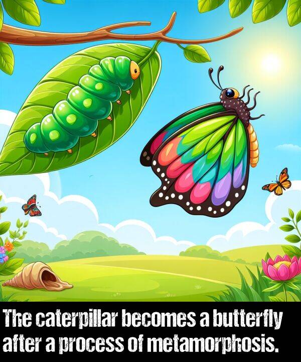 becomes: The caterpillar becomes a butterfly after a process of metamorphosis.