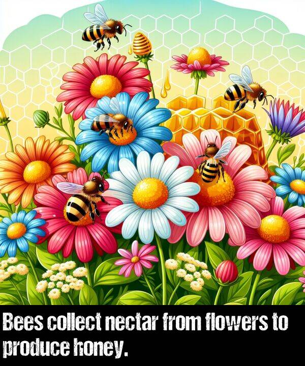from: Bees collect nectar from flowers to produce honey.