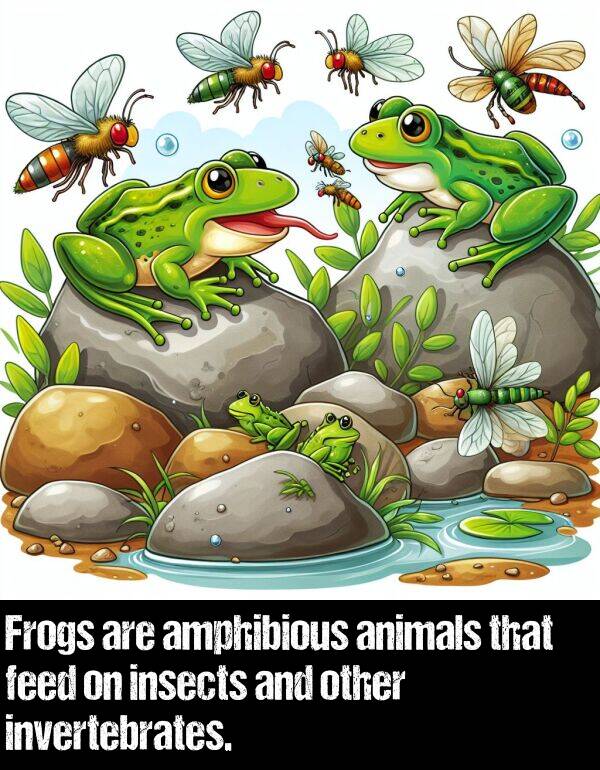 feed: Frogs are amphibious animals that feed on insects and other invertebrates.