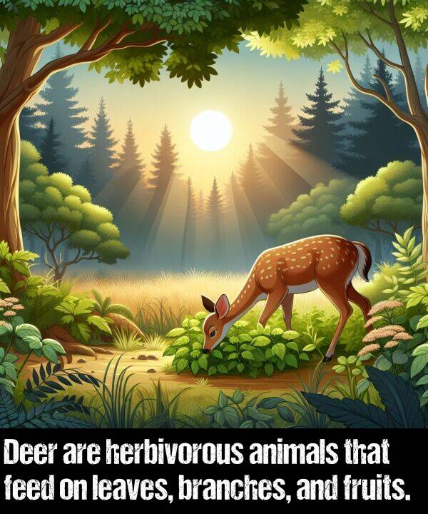 feed: Deer are herbivorous animals that feed on leaves, branches, and fruits.