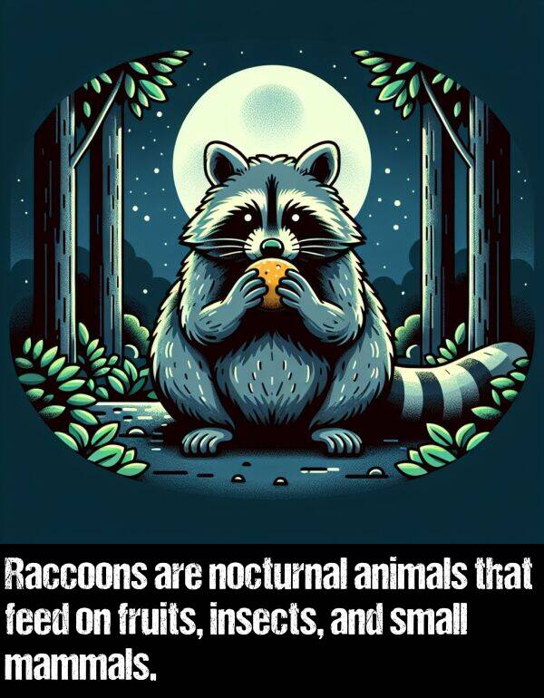 feed: Raccoons are nocturnal animals that feed on fruits, insects, and small mammals.