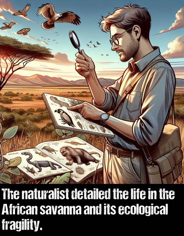 naturalist: The naturalist detailed the life in the African savanna and its ecological fragility.