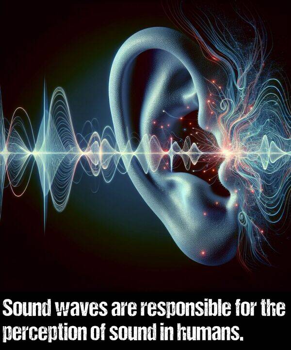 waves: Sound waves are responsible for the perception of sound in humans.