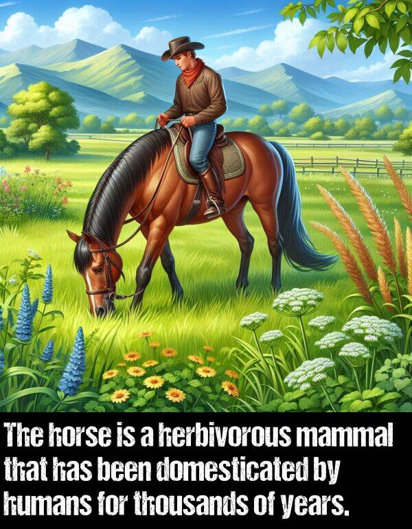 been: The horse is a herbivorous mammal that has been domesticated by humans for thousands of years.
