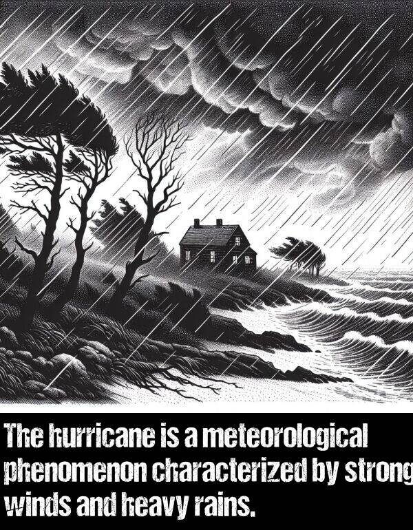 rains: The hurricane is a meteorological phenomenon characterized by strong winds and heavy rains.