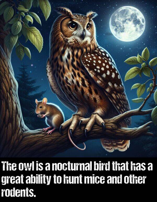 ability: The owl is a nocturnal bird that has a great ability to hunt mice and other rodents.