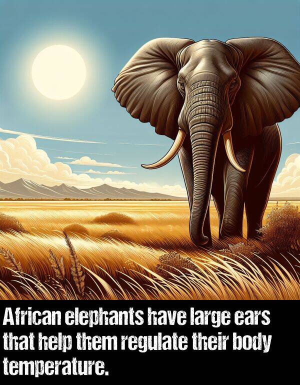 body: African elephants have large ears that help them regulate their body temperature.