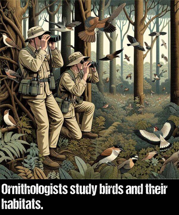 their: Ornithologists study birds and their habitats.