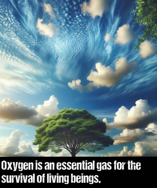 living: Oxygen is an essential gas for the survival of living beings.