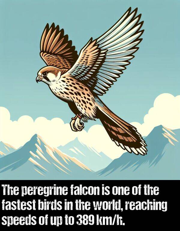 birds: The peregrine falcon is one of the fastest birds in the world, reaching speeds of up to 389 km/h.