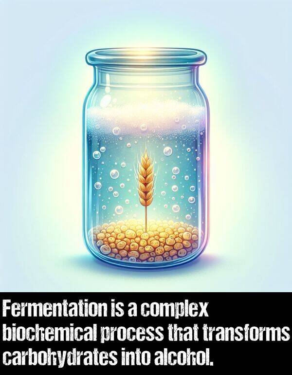 carbohydrates: Fermentation is a complex biochemical process that transforms carbohydrates into alcohol.