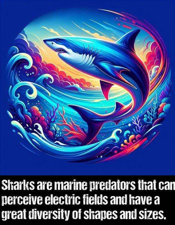 fields: Sharks are marine predators that can perceive electric fields and have a great diversity of shapes and sizes.