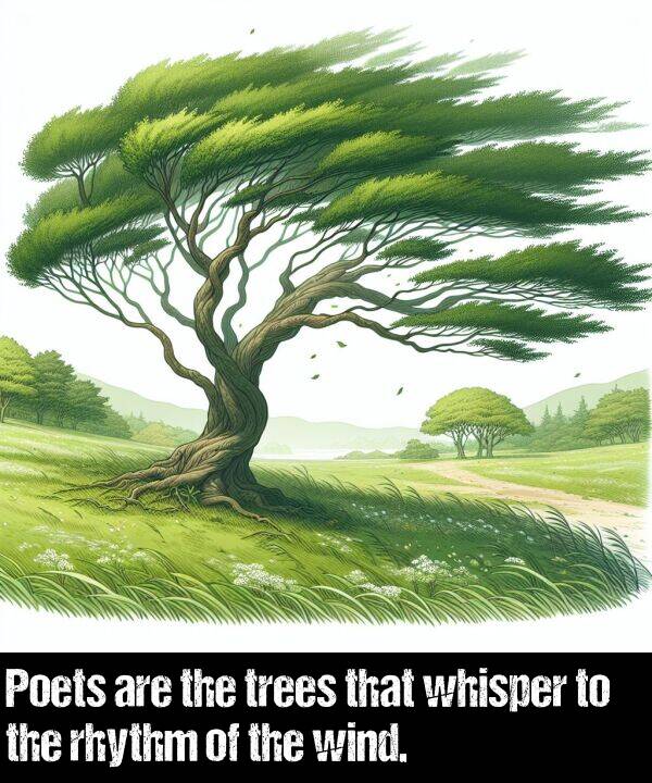 wind: Poets are the trees that whisper to the rhythm of the wind.