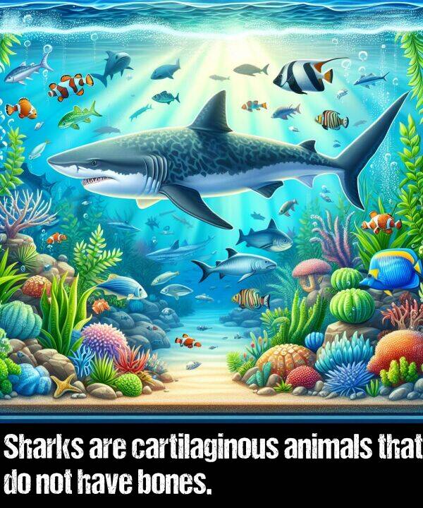bones: Sharks are cartilaginous animals that do not have bones.