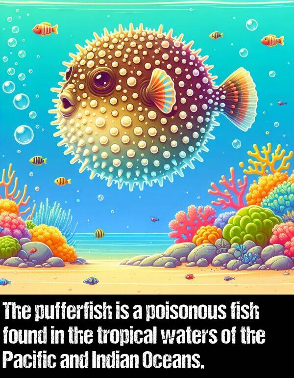 waters: The pufferfish is a poisonous fish found in the tropical waters of the Pacific and Indian Oceans.