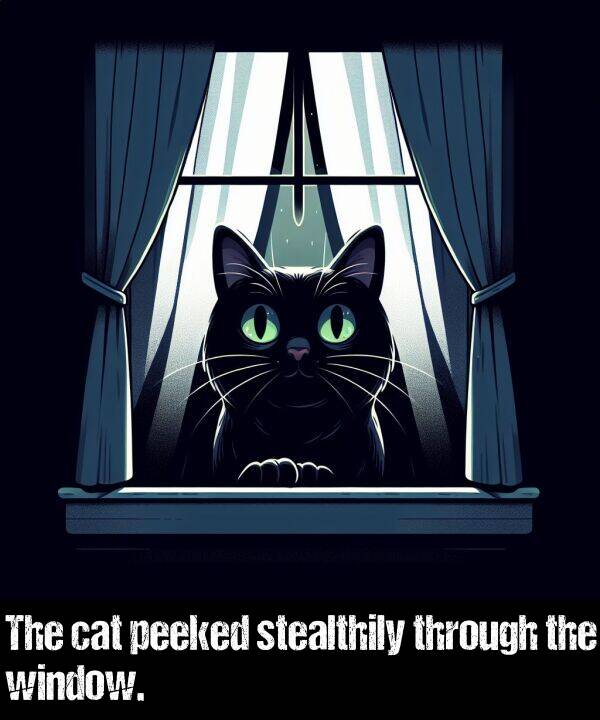 cat: The cat peeked stealthily through the window.